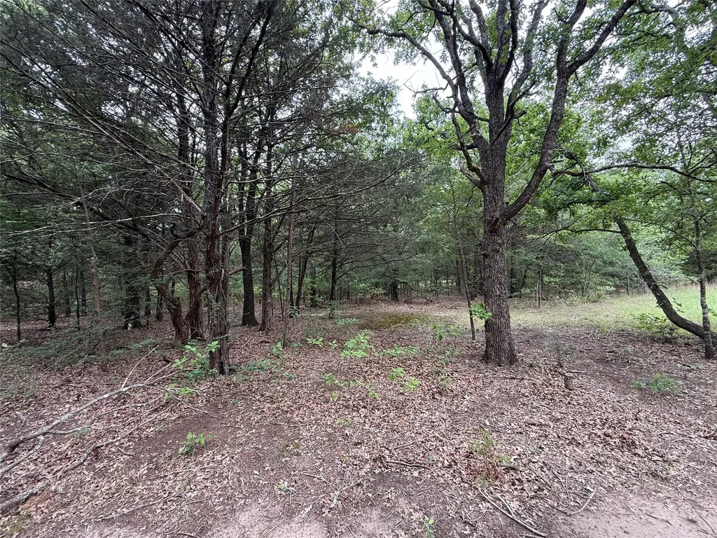 Tbd 27 Acres Fm 642 Purdon TX 76679