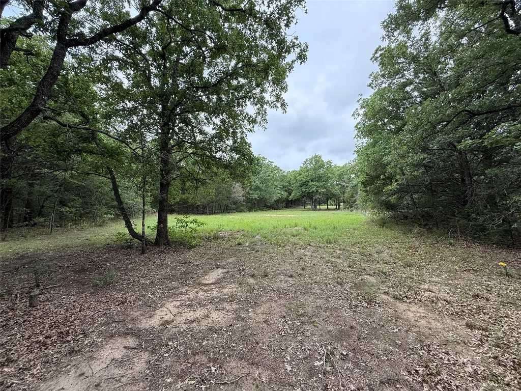 Tbd 27 Acres Fm 642 Purdon TX 76679