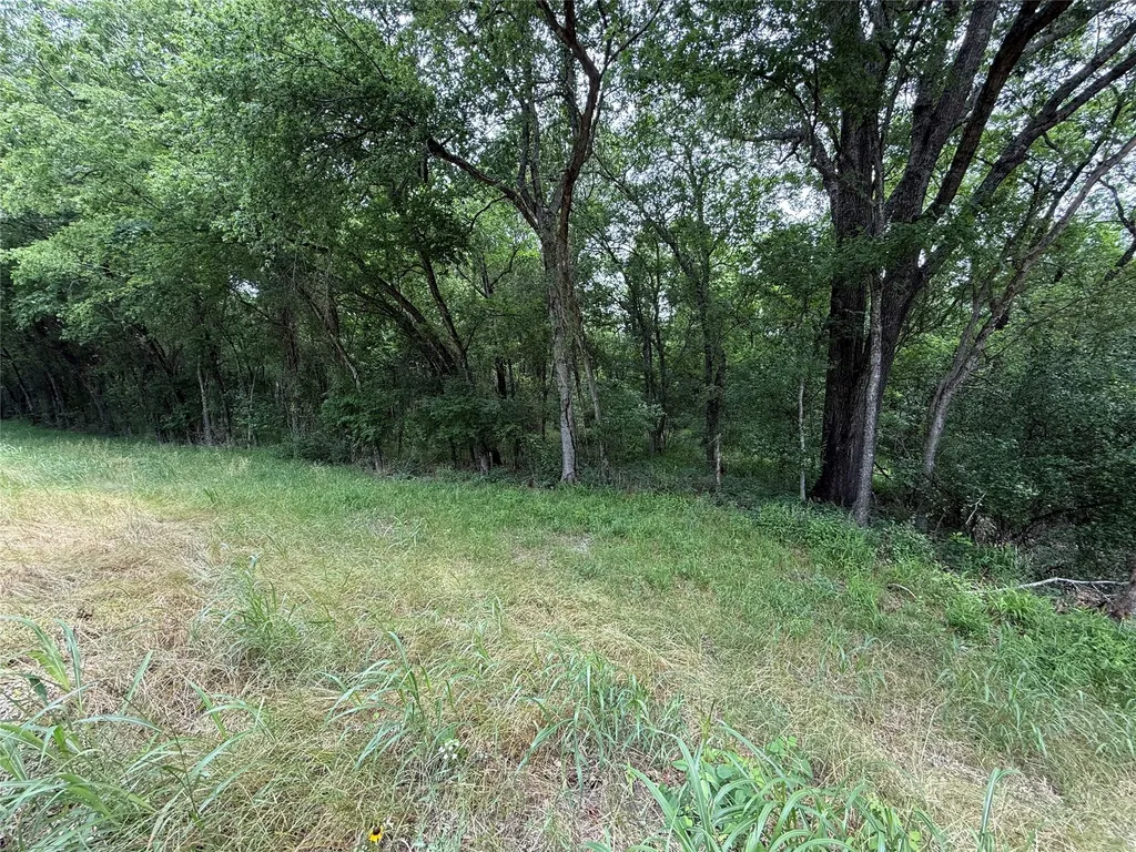 Tbd 27 Acres Fm 642 Purdon TX 76679