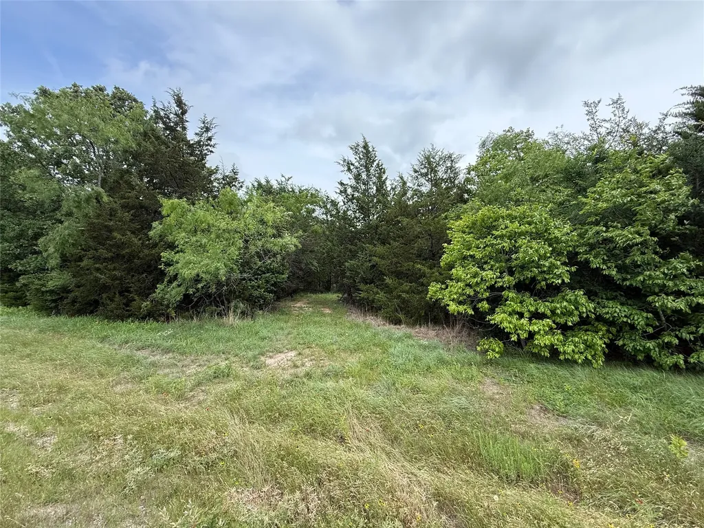 Tbd 27 Acres Fm 642 Purdon TX 76679