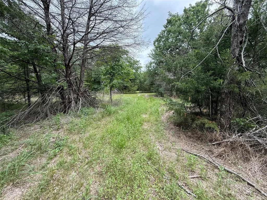 Tbd 27 Acres Fm 642 Purdon TX 76679