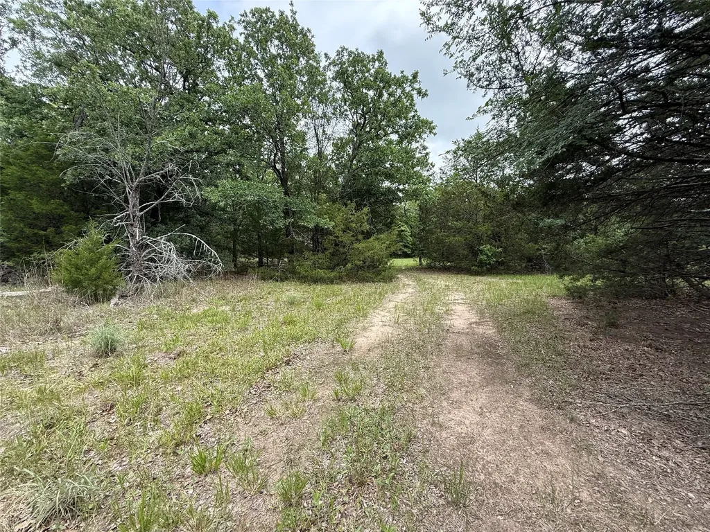 Tbd 27 Acres Fm 642 Purdon TX 76679