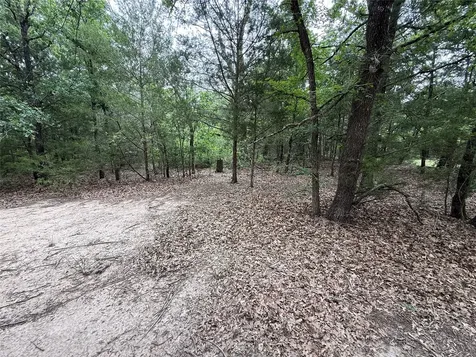 Tbd 27 Acres Fm 642 Purdon TX 76679