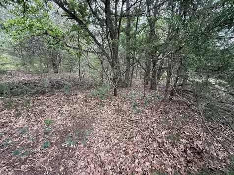 Tbd 27 Acres Fm 642 Purdon TX 76679