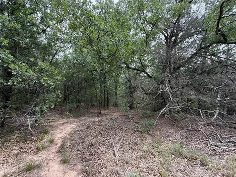 Tbd 27 Acres Fm 642 Purdon TX 76679