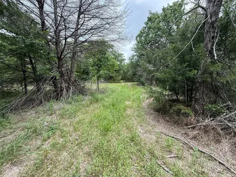 Tbd 27 Acres Fm 642 Purdon TX 76679