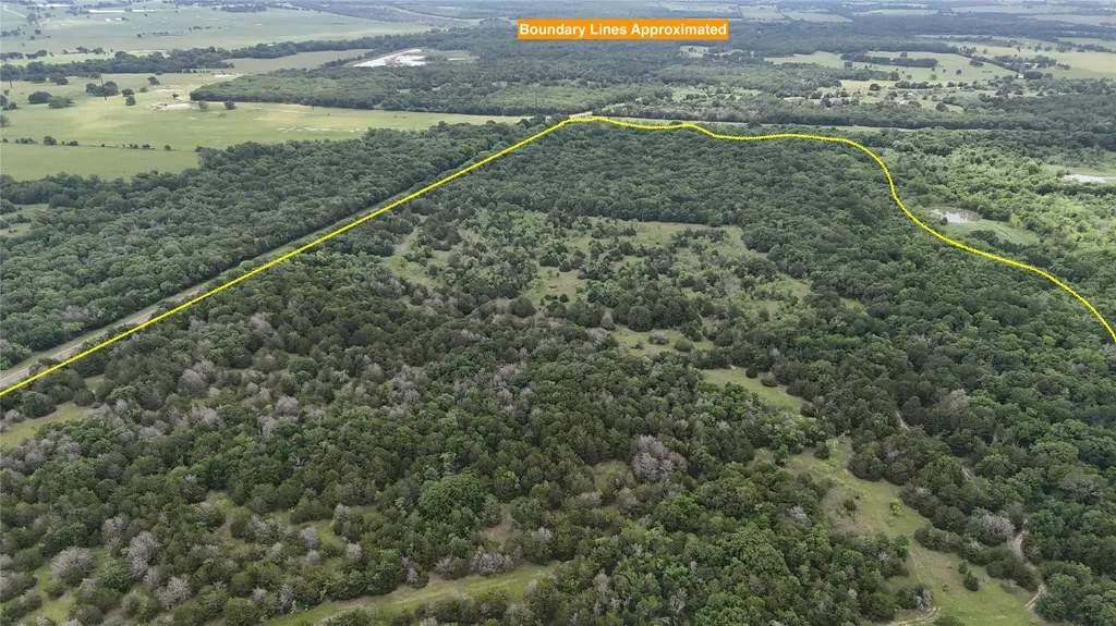 Tbd 125 Acres Fm 642 Purdon TX 76679