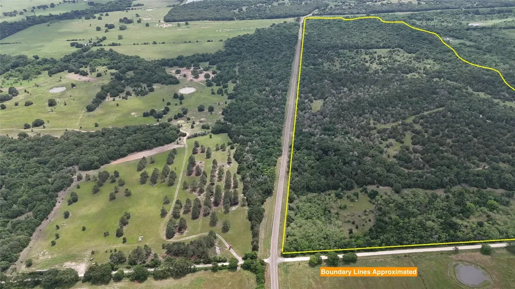 Tbd 125 Acres Fm 642 Purdon TX 76679