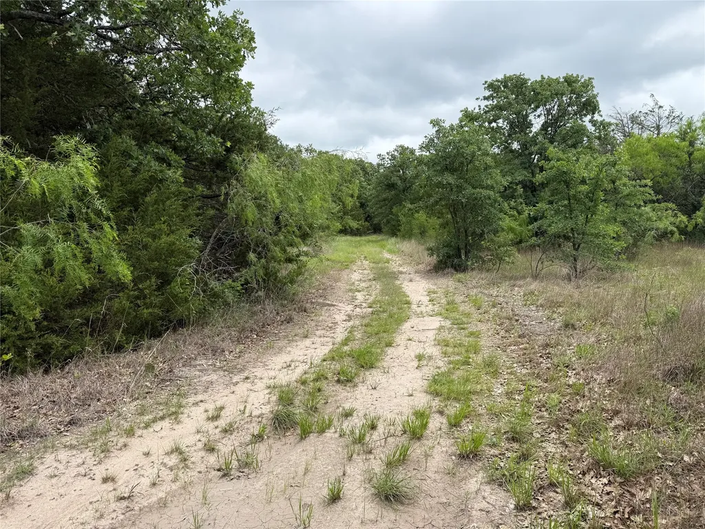 Tbd 125 Acres Fm 642 Purdon TX 76679