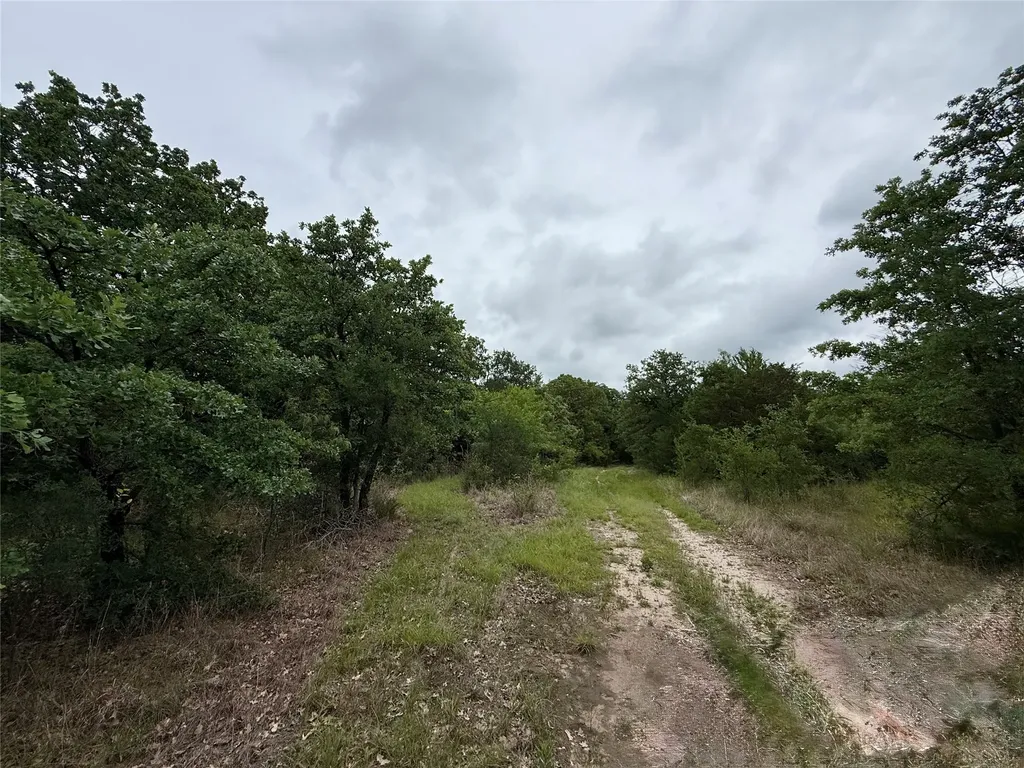 Tbd 125 Acres Fm 642 Purdon TX 76679