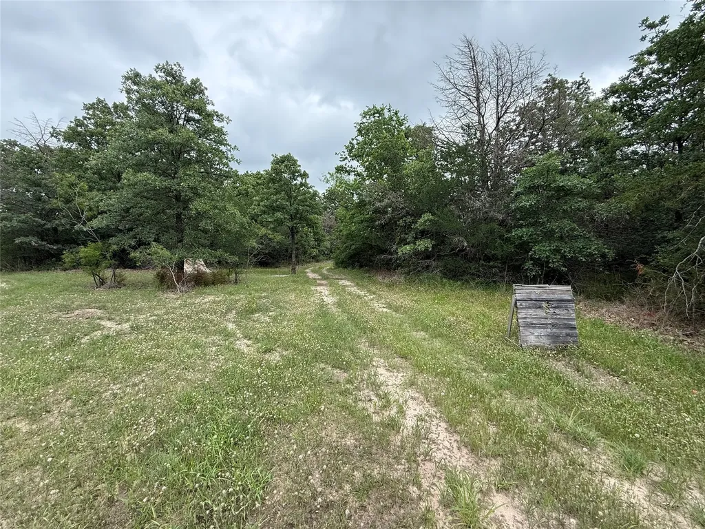 Tbd 125 Acres Fm 642 Purdon TX 76679