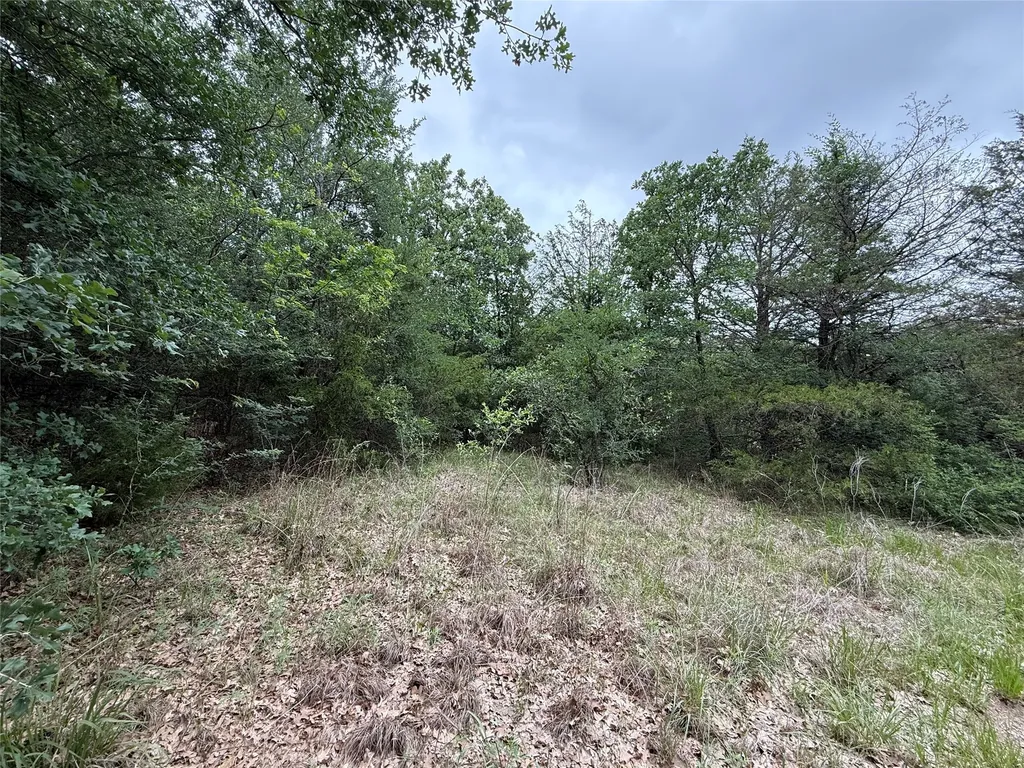 Tbd 125 Acres Fm 642 Purdon TX 76679