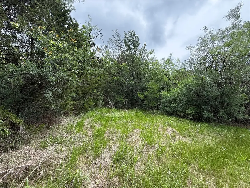 Tbd 125 Acres Fm 642 Purdon TX 76679
