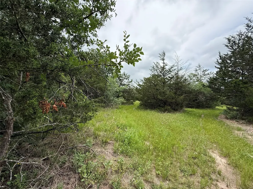 Tbd 125 Acres Fm 642 Purdon TX 76679