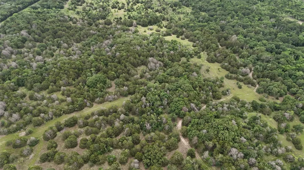 Tbd 125 Acres Fm 642 Purdon TX 76679