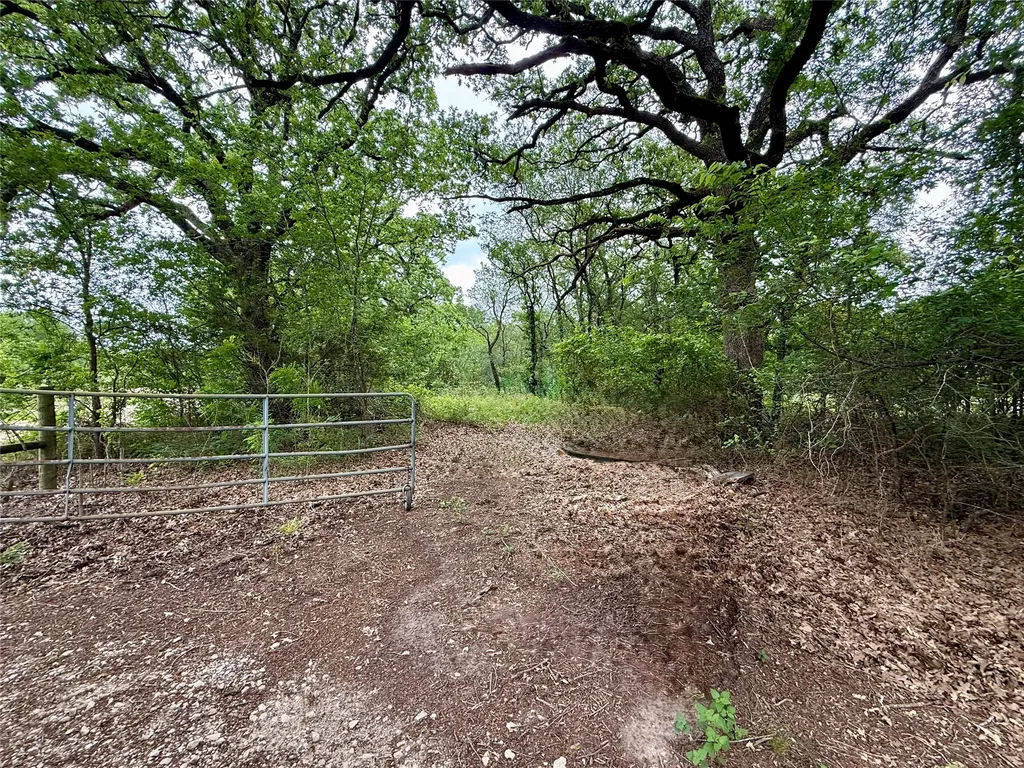 Tbd 125 Acres Fm 642 Purdon TX 76679