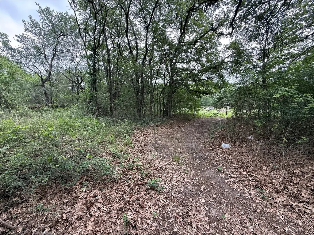 Tbd 125 Acres Fm 642 Purdon TX 76679