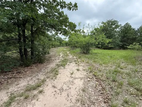 Tbd 125 Acres Fm 642 Purdon TX 76679
