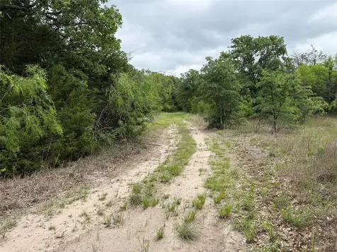 Tbd 125 Acres Fm 642 Purdon TX 76679