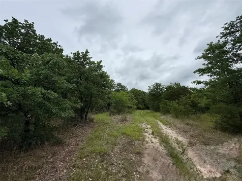 Tbd 125 Acres Fm 642 Purdon TX 76679