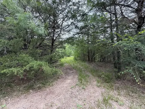 Tbd 125 Acres Fm 642 Purdon TX 76679