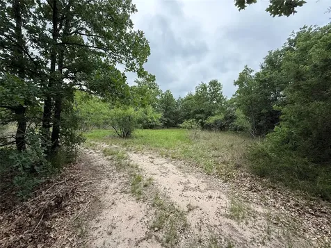Tbd 125 Acres Fm 642 Purdon TX 76679