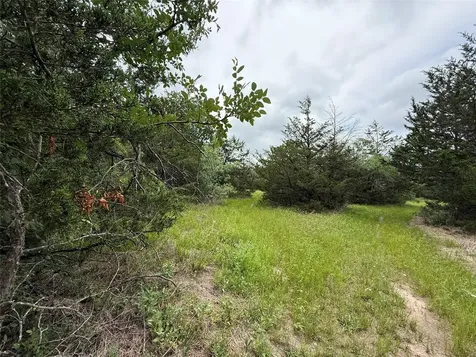 Tbd 125 Acres Fm 642 Purdon TX 76679