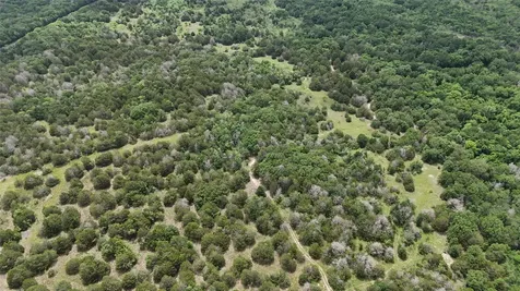 Tbd 125 Acres Fm 642 Purdon TX 76679