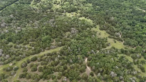 Tbd 125 Acres Fm 642 Purdon TX 76679