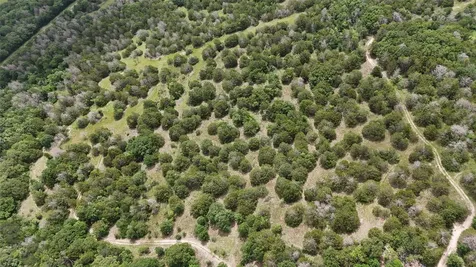 Tbd 125 Acres Fm 642 Purdon TX 76679