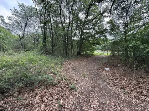 Tbd 125 Acres Fm 642 Purdon TX 76679
