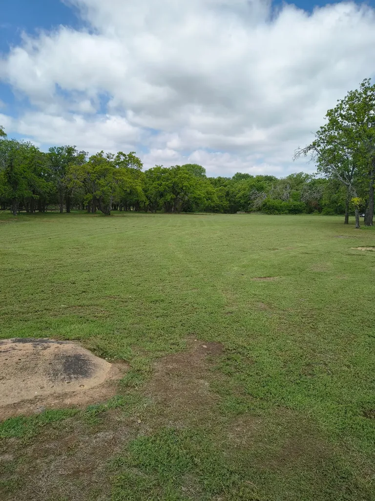 1625 County Road 281 Carbon TX 76435
