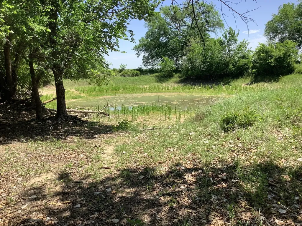 1625 County Road 281 Carbon TX 76435