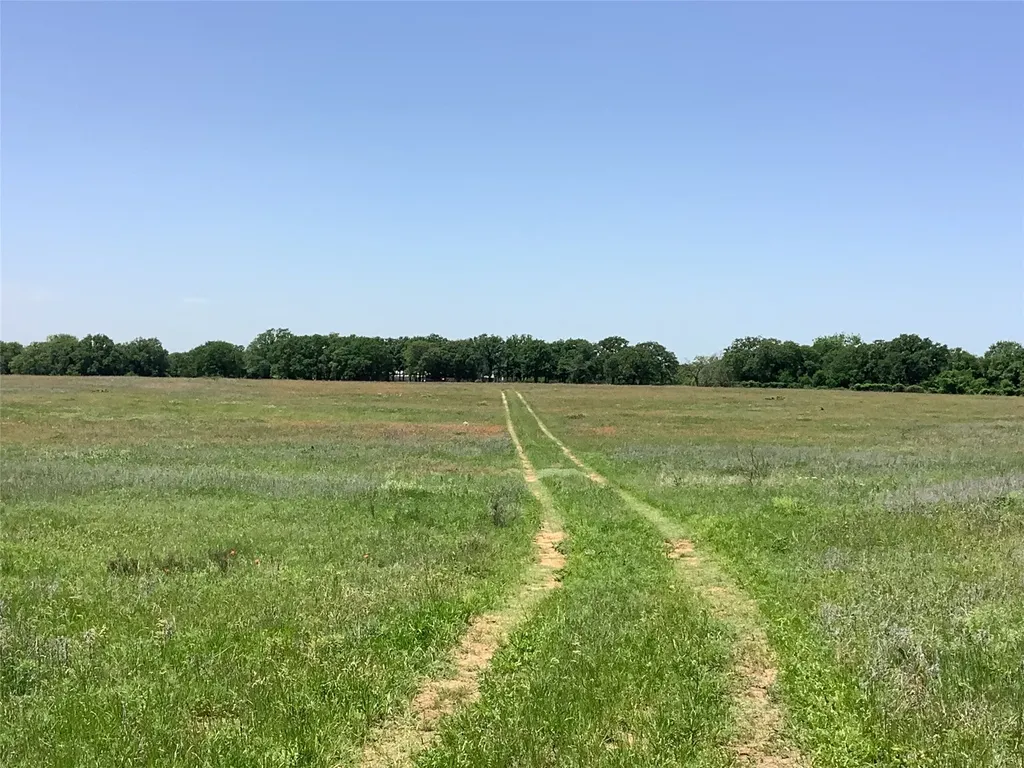 1625 County Road 281 Carbon TX 76435