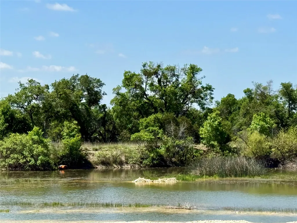 Tbd Hwy 67-377 Blanket TX 76432