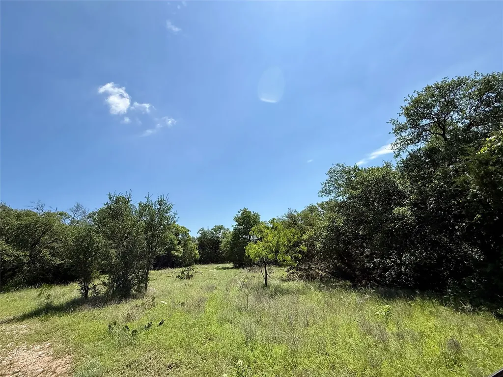 Tbd Hwy 67-377 Blanket TX 76432