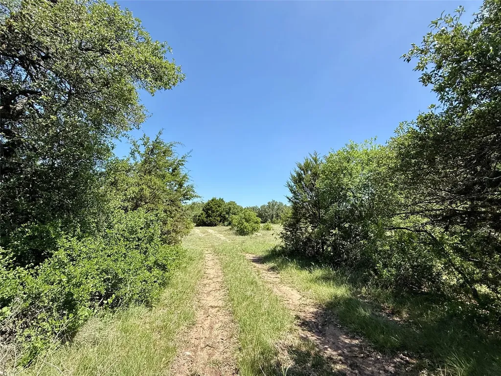 Tbd Hwy 67-377 Blanket TX 76432
