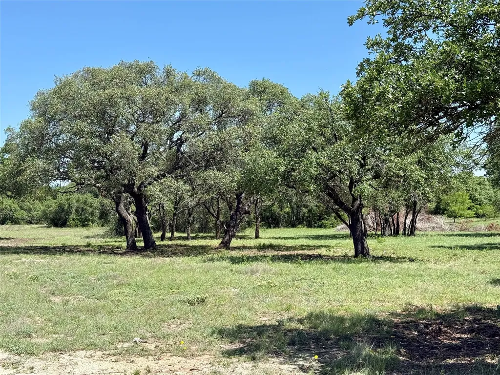 Tbd Hwy 67-377 Blanket TX 76432