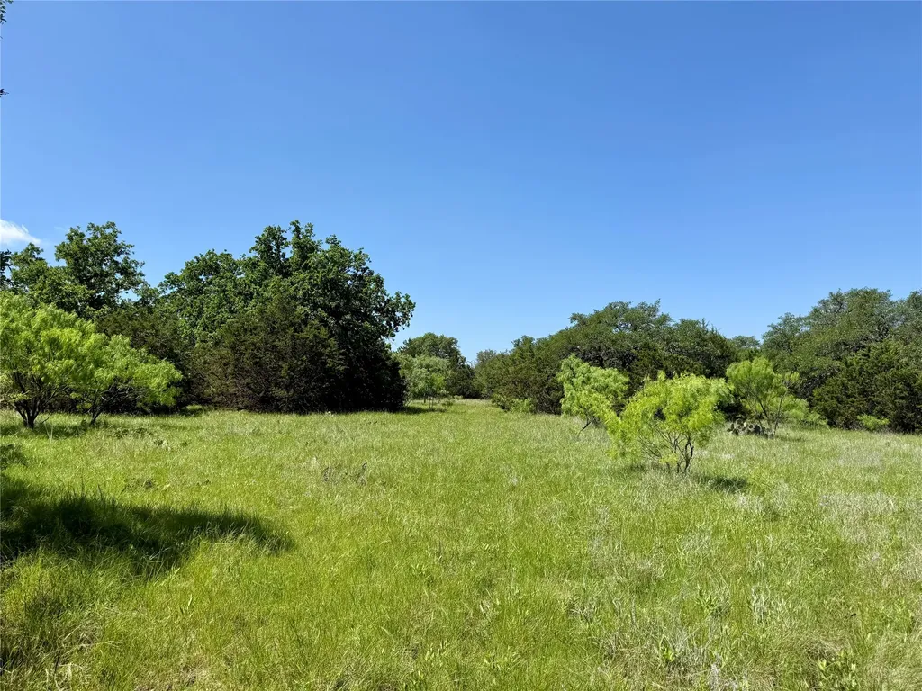 Tbd Hwy 67-377 Blanket TX 76432