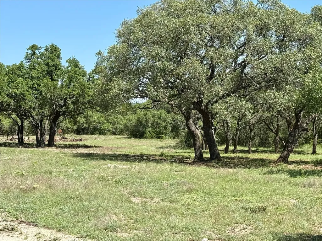 Tbd Hwy 67-377 Blanket TX 76432