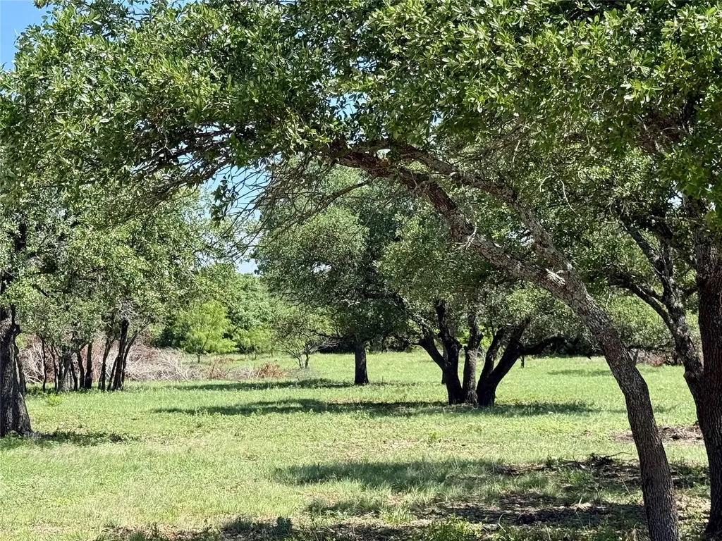 Tbd Hwy 67-377 Blanket TX 76432