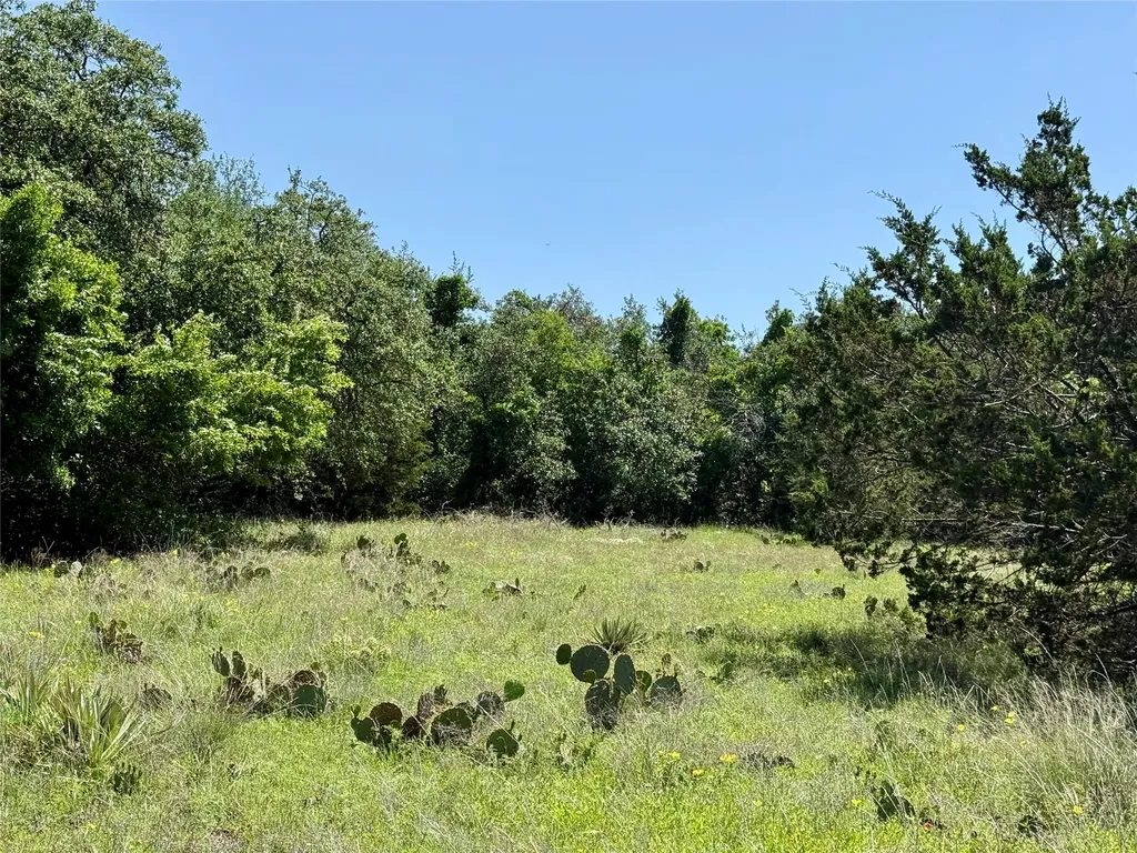 Tbd Hwy 67-377 Blanket TX 76432