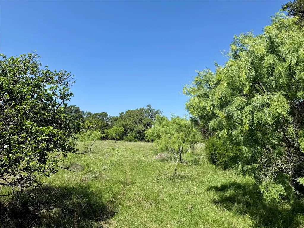 Tbd Hwy 67-377 Blanket TX 76432