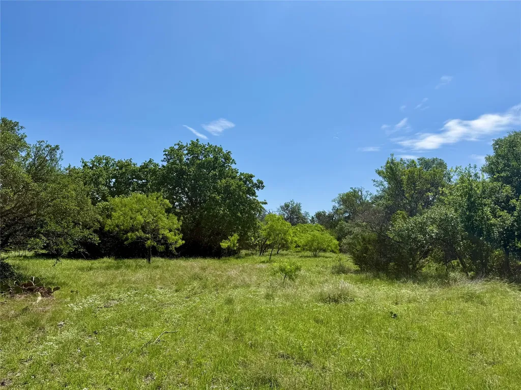 Tbd Hwy 67-377 Blanket TX 76432