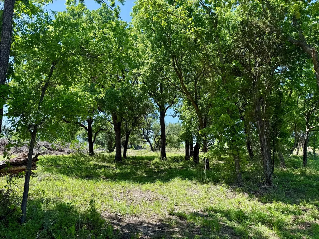 Tbd Hwy 67-377 Blanket TX 76432