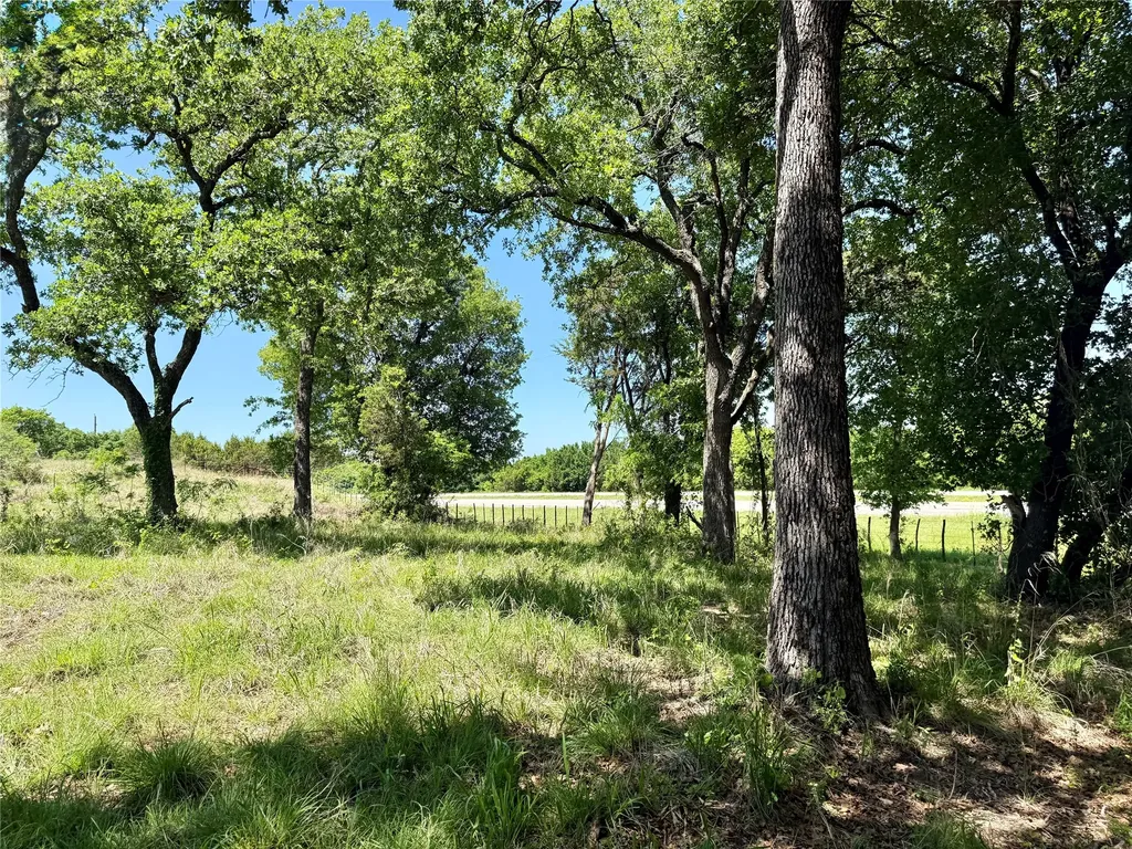 Tbd Hwy 67-377 Blanket TX 76432