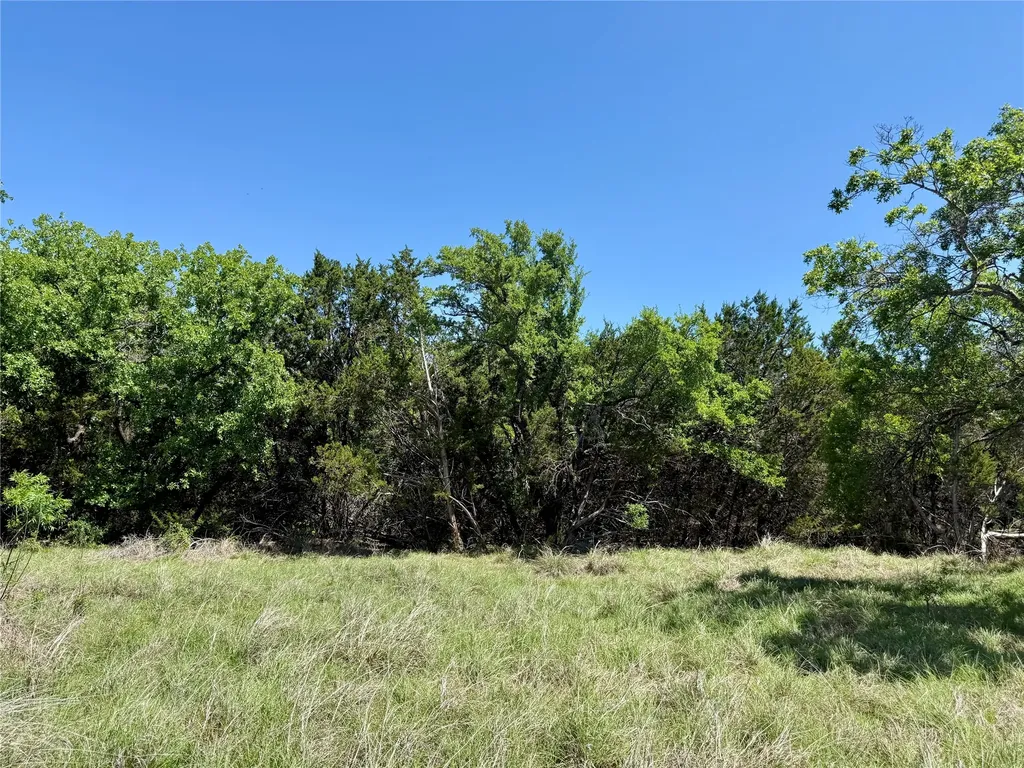 Tbd Hwy 67-377 Blanket TX 76432