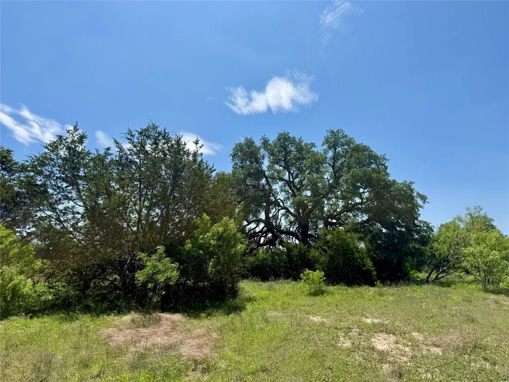 Tbd Hwy 67-377 Blanket TX 76432