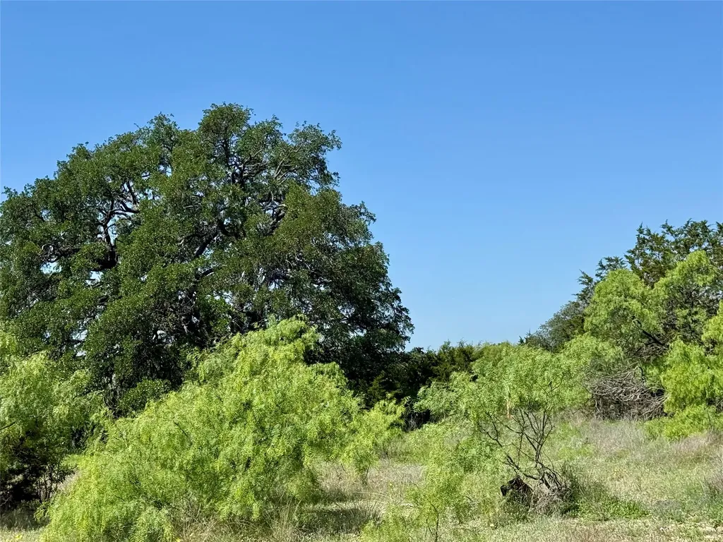 Tbd Hwy 67-377 Blanket TX 76432