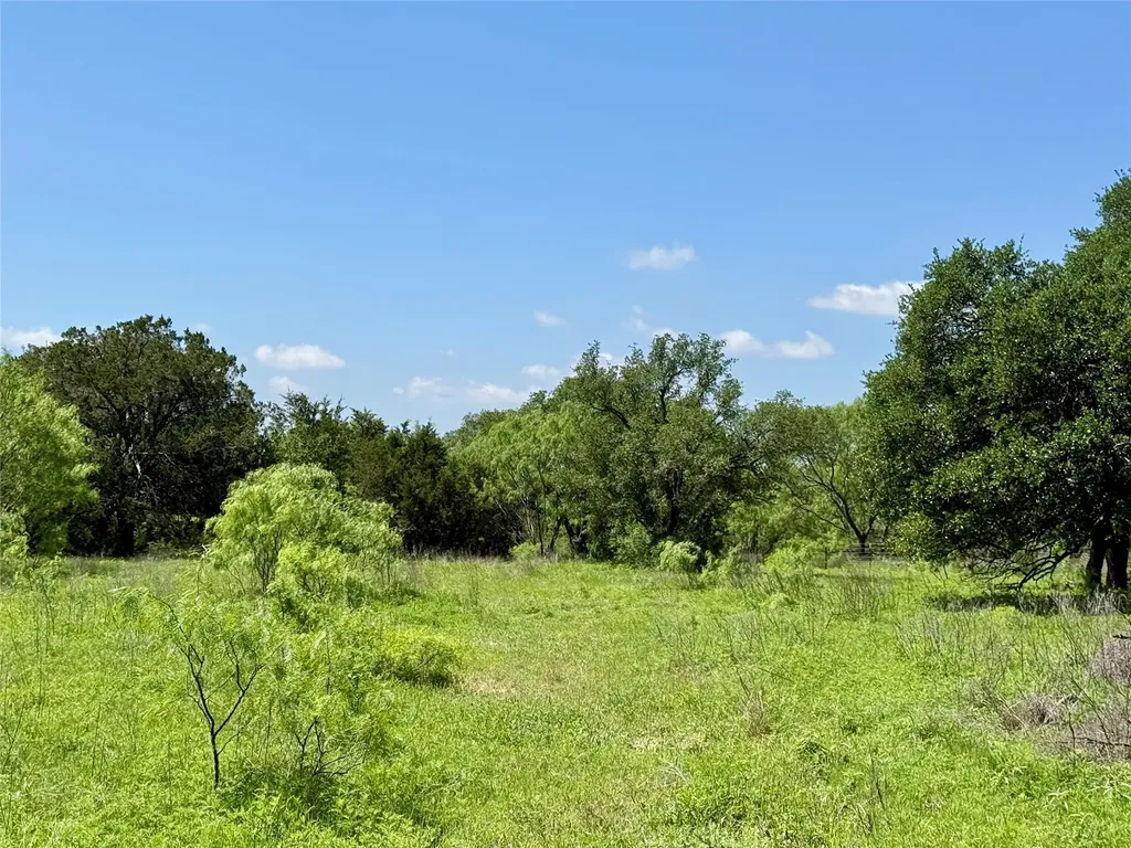 Tbd Hwy 67-377 Blanket TX 76432